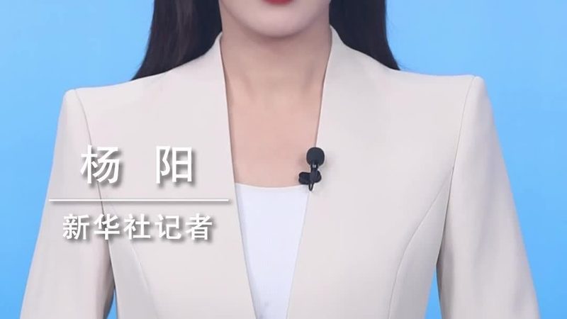 科技服务外包与内包：两种模式下的战略考量